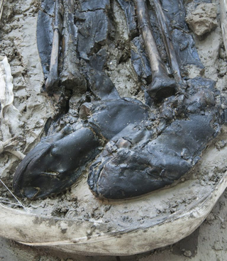 A close-up of the boots.